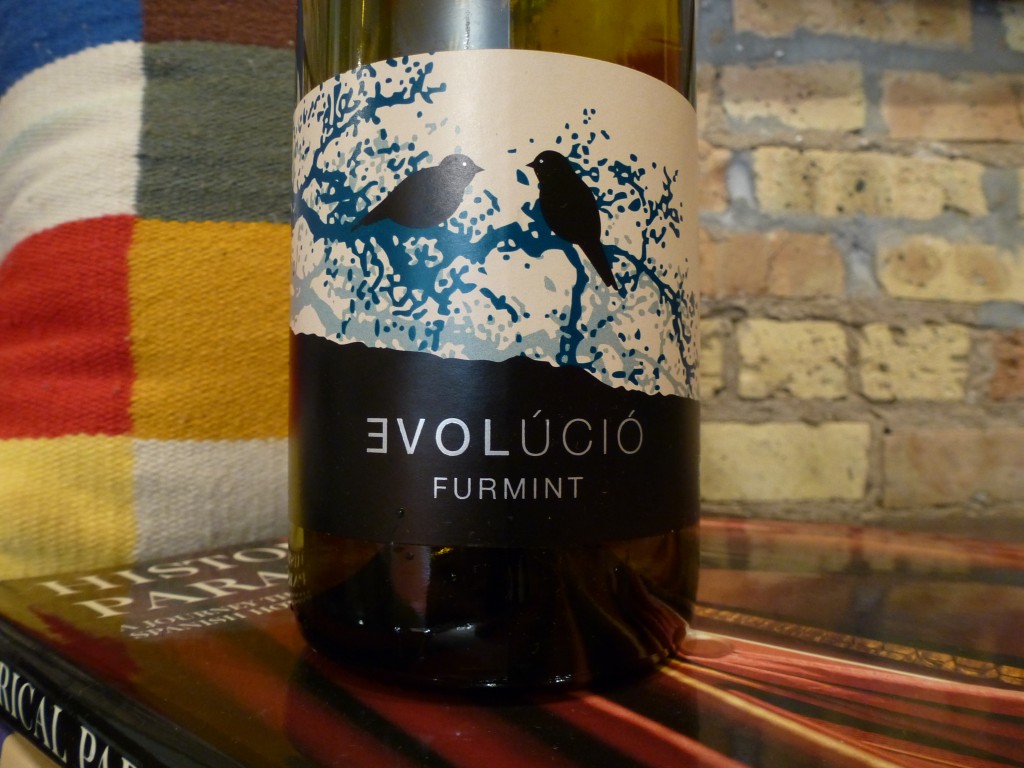 Evolucio Furmint