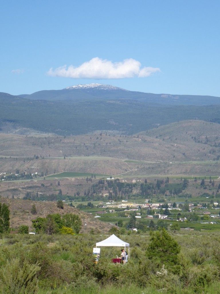 Old Fairview town site