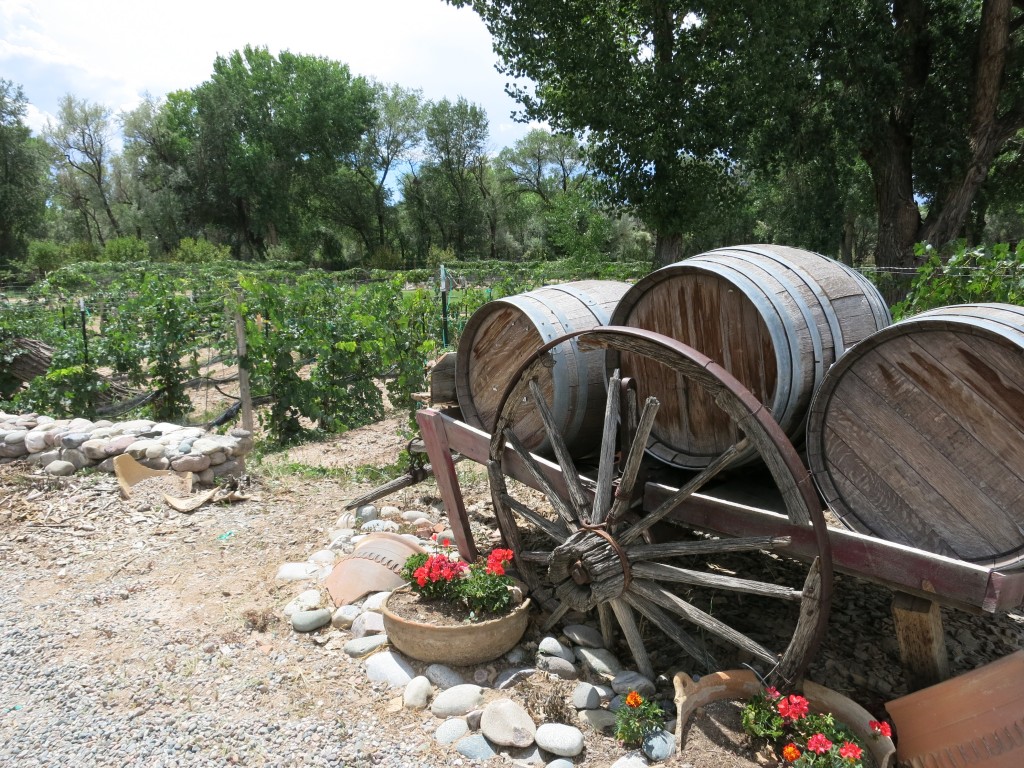 Vineyards at Estrella del Norte