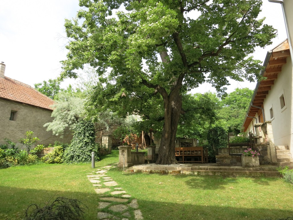 The courtyard of Barta Pince