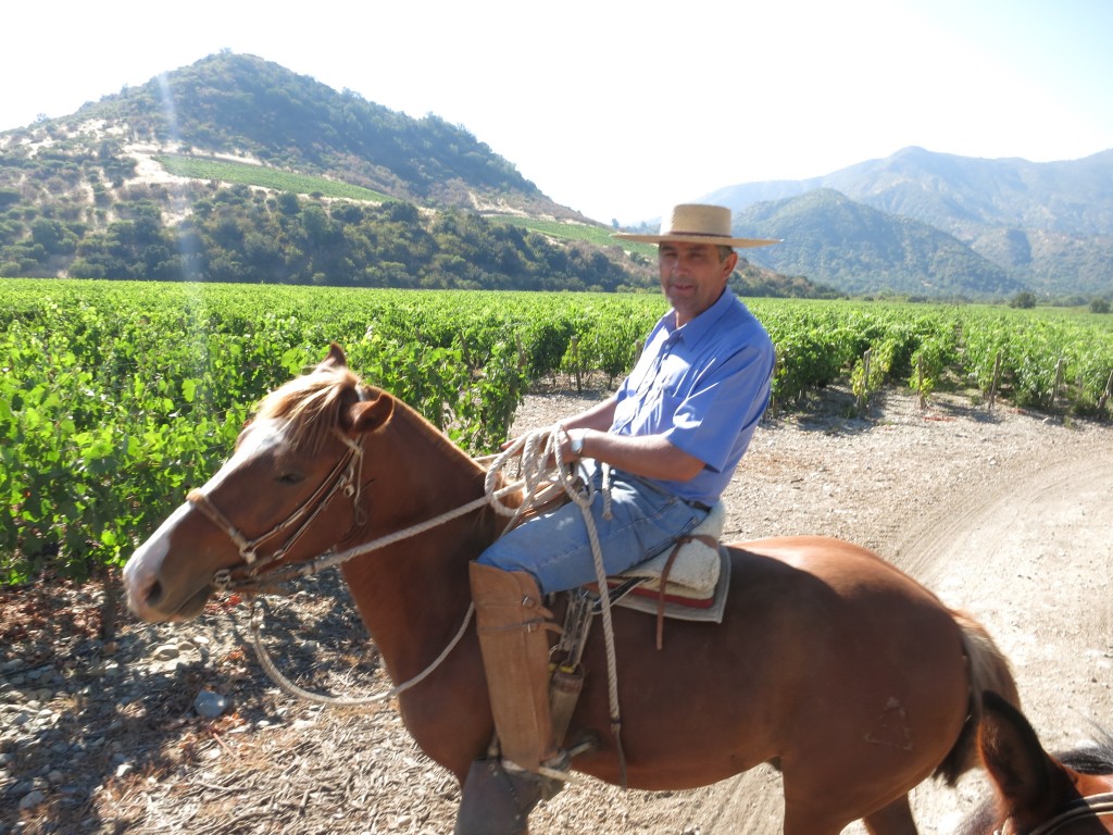 Horseback Riding through the vineyards of Viña Vik