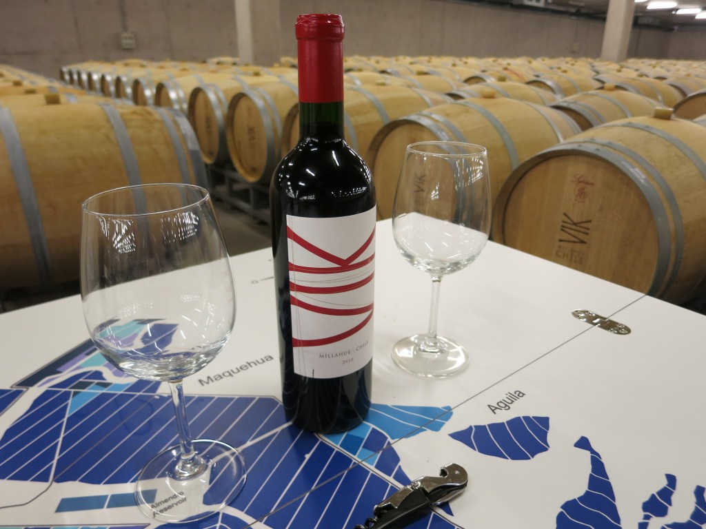 Viña Vik's red blend